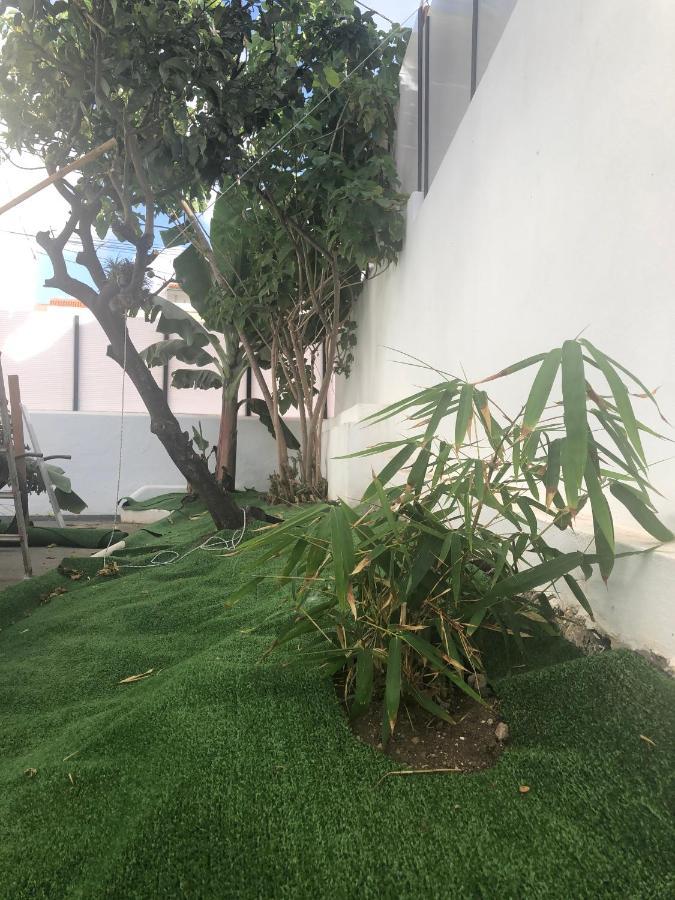 Casa Antigua La Embajada Villa Tejina Eksteriør billede